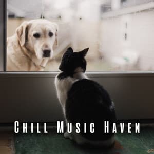 Chill Music Haven: Soothing Music for Pet - Chill Playlist
