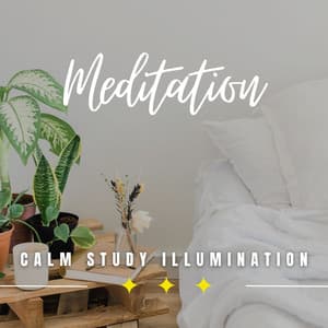 Calm Study Illumination: Meditative Insights - Study Music Experience