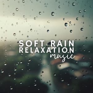 Soft Rain Relaxation Music - Oasis of Relaxation Meditation