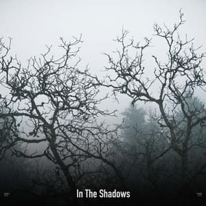 !!!!" In The Shadows "!!!! - Halloween Music