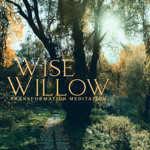 Wise Willow: Native American Shamanic Music, Vocal Chants, Transformation Meditation to Disconnect from Unhealthy Connections, Healing & Release - George Woode
