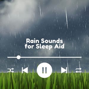 Calming Drizzle Delight - Rain Sounds for Sleep Aid