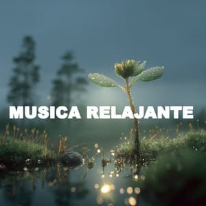 ! El Mejor Momento para Calmarse2 - Música Relajante