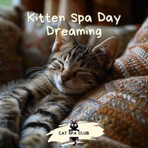 Kitten Spa Day Dreaming - Cat Spa Club