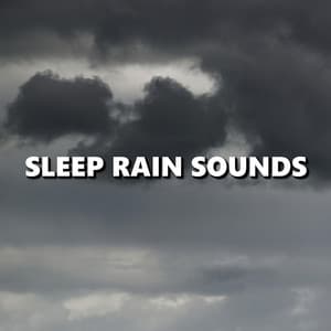 Sleep Rain Sounds - Wind and Rain Sounds