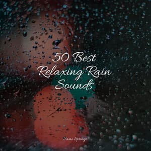 50 Best Relaxing Rain Sounds - Música Zen Relaxante