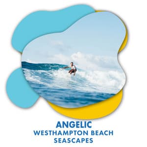 Angelic Westhampton Beach Seascapes - The Sound Reserve