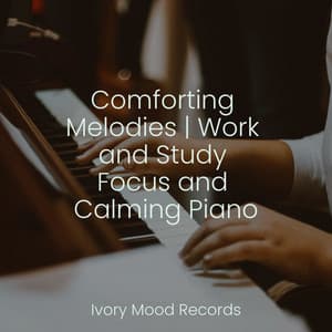 Comforting Melodies | Work and Study Focus and Calming Piano - Ivory Mood