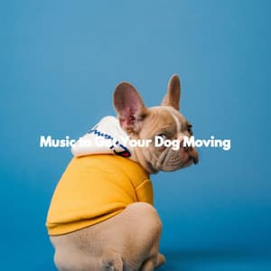 Music to Get Your Dog Moving - Lounge Jazz Bar