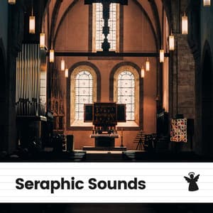 Seraphic Sounds - Relaxed Minds