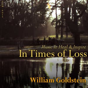 In Times Of Loss: Music To Heal & Inspire - William Goldstein
