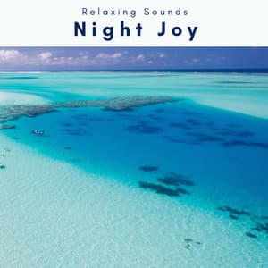 A Night Joy - Sleep Tech