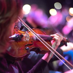 Deep Meditation Orchestra: Symphonic Calm - Charles Anderson