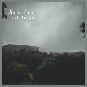 Lluvia Suave en el Bosque - Naturaleza Sonidos