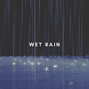 Rainstorm Sounds for Relaxing Focus and Sleep - Wet Rain