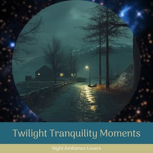 Twilight Tranquility Moments - Night Ambience Lovers