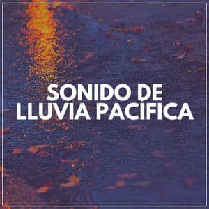 Sonido de Lluvia Pacífica - Lluvia para un sueño profundo
