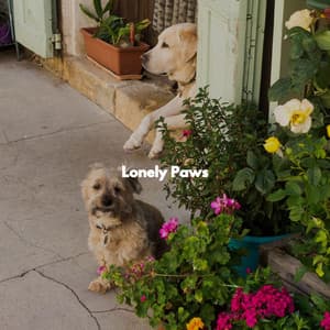 Lonely Paws - Relaxing Dog Music Classics