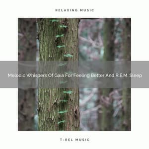 Melodic Whispers Of Gaia For Feeling Better And R.E.M. Sleep - Amazon Jungle Sounds