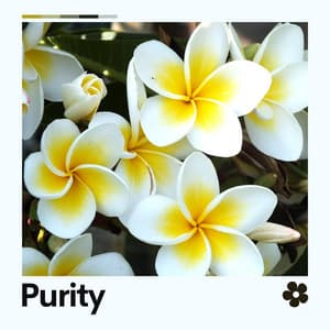 Purity - White Noise Baby Sleep Music