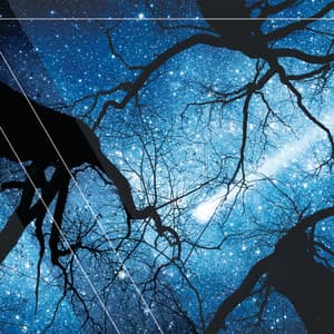 Acque profonde - Ambiente Spazio Musica