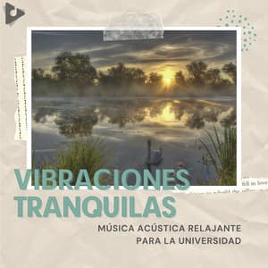 Música Acústica Relajante Para La Universidad - Vibraciones Tranquilas