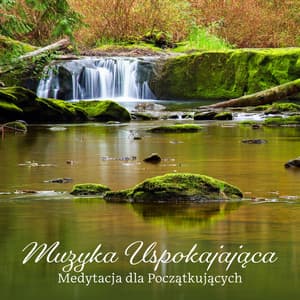 Muzyka Uspokajająca: Medytacja dla Początkujących - Akademia Dobrego Samopoczucia