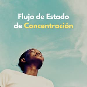 Flujo De Estado De Concentración - Ogablue