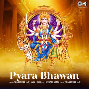 Pyara Bhawan - Shailendra Jain