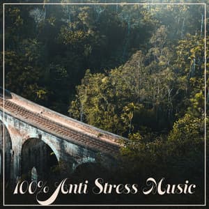 100% Anti Stress Music – Therapy Music with Nature Sound, Relax Yourself, Rest & Relax, Positive Thinking, Ambient Music - Serenity Nature Sounds Academy