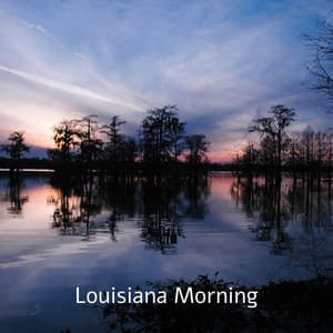 Lousiana Morning - Tranquility Spree
