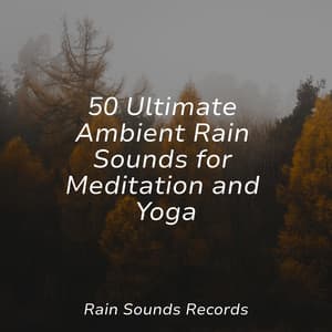 50 Ultimate Ambient Rain Sounds for Meditation and Yoga - Sonido Del Bosque y Naturaleza