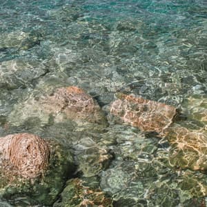 Melodías al Anochecer - Canción del Crepúsculo