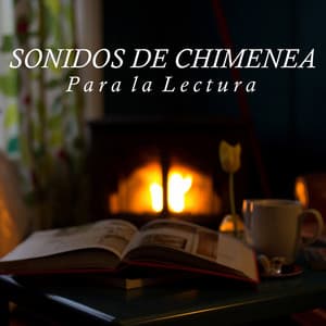Sonidos de Chimenea para la Lectura - Musica para Estudiar Specialistas