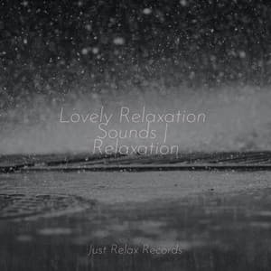 Lovely Relaxation Sounds | Relaxation - Dog Music