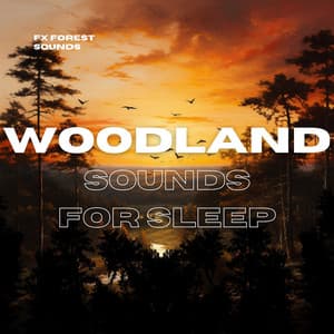 Woodland Sounds for Sleep - FX Forest Sounds