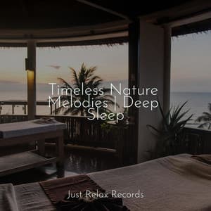 Timeless Nature Melodies | Deep Sleep - Relaxing Music