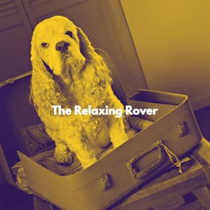 The Relaxing Rover - Calming Jazz For Dogs