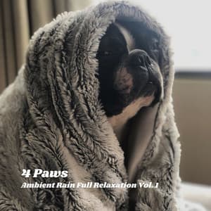 4 Paws: Ambient Rain Full Relaxation Vol. 1 - Nature Radio 1