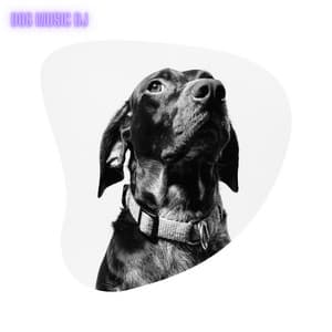 Dog Songs - Dog Music DJ