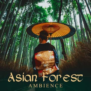 Asian Forest Ambience - Mary Flowes
