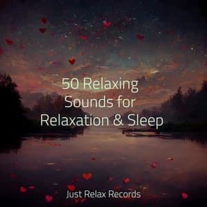 50 Relaxing Sounds for Relaxation & Sleep - Rest & Relax Nature Sounds Artists