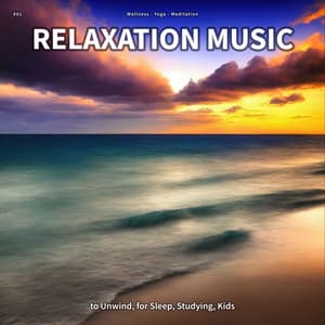 #01 Relaxation Music to Unwind, for Sleep, Studying, Kids - Wellness