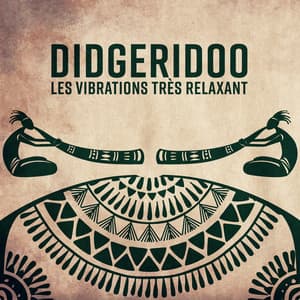 Didgeridoo - Les vibrations très relaxant - Académie de Méditation Spirituelle