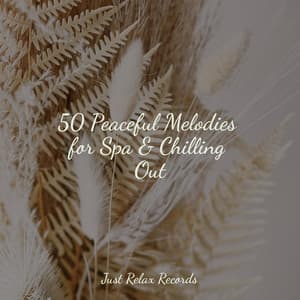 50 Peaceful Melodies for Spa & Chilling Out - Musica Reiki