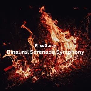 Fires Study: Binaural Serenade Symphony - Binaural Beats Concentration