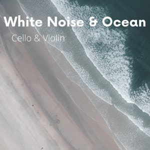 White Noise & Ocean - White Noise Playlist