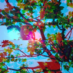 Swanky Bgm for New Moods - Jazz Ambiance