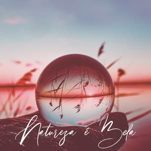 Natureza é Bela: Sons da Natureza para Meditação Consciente, Tratamentos de Spa de Cura e Ioga para Relaxamento Completo - Relaxar Meditação Clube