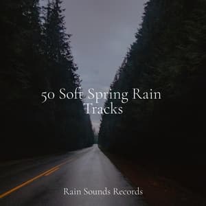 50 Soft Spring Rain Tracks - Lucid Dreaming Music